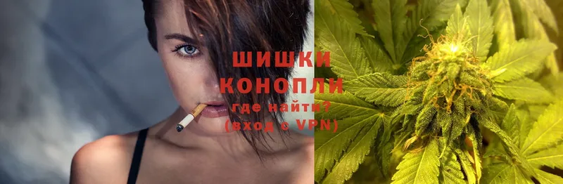 где найти   Бакал  Шишки марихуана THC 21% 